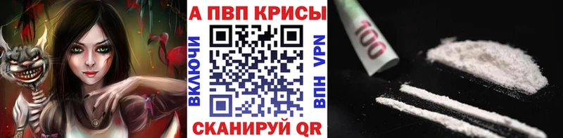Alfa_PVP СК КРИС  Печора 