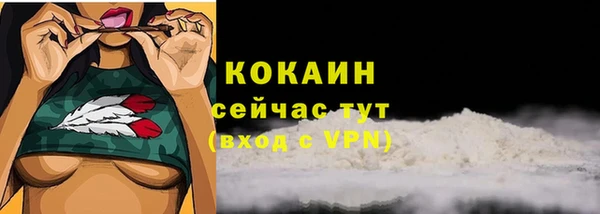 гашик Белоозёрский