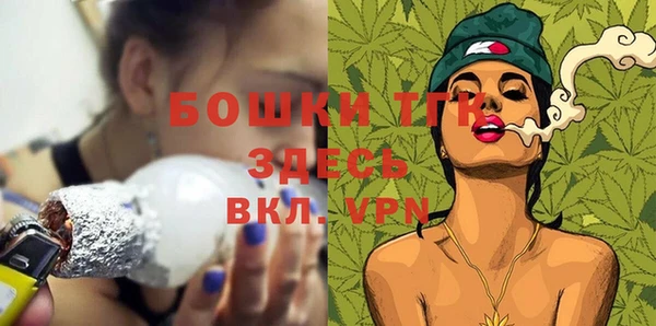 гашик Белоозёрский