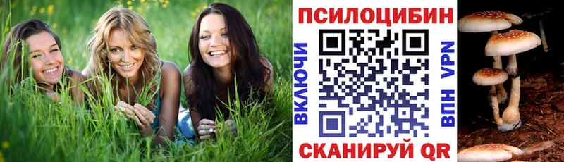 Псилоцибиновые грибы Cubensis  Печора 